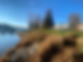 IMG_5204.jpeg