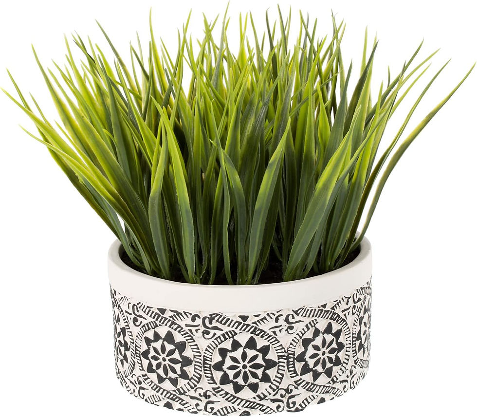 Thumbnail: JOLLIAR Fake Grass Plant in White and Black Cement Pot – Artificial Potted Pl