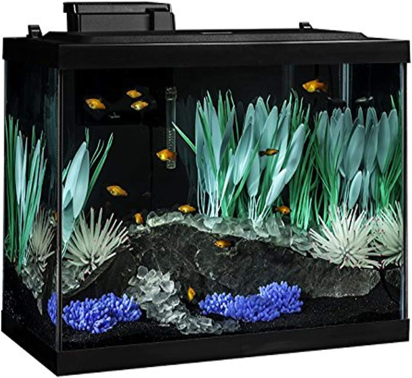 Tetra ColorFusion Aquarium 20 Gallon Fish Tank Kit, Includes LED Lighting and D