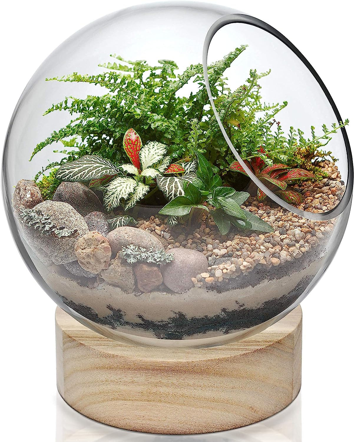 CYS EXCEL Glass Terrarium Candle Holder Bubble Bowl with Wood Base (H:8" W:6.5"