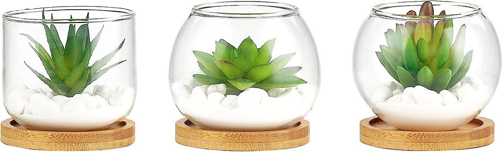 Thumbnail: Mkono Artificial Succulent in Clear Glass Pot, Set of 3 Mini Potted Fake Plants