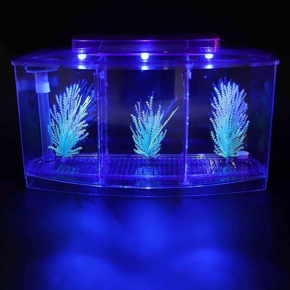 Thumbnail: Fish Tank, Desktop Transparent Breeding Fish Tank, Mini Acrylic for Small Fishe