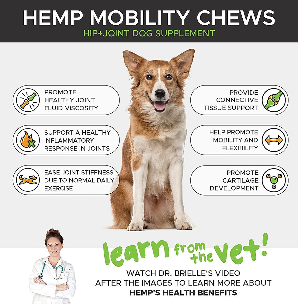 Thumbnail: Pet Honesty Hemp Hip & Joint Supplement for Dogs - Hemp Oil & Hemp Powder - Glu