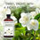 Thumbnail: MAJESTIC PURE Jasmine Oil Premium Quality, 4 Fl Oz