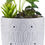 Thumbnail: Essential Oil Diffuser, Artificial Succulent Plants Potted Diffusers for Essent