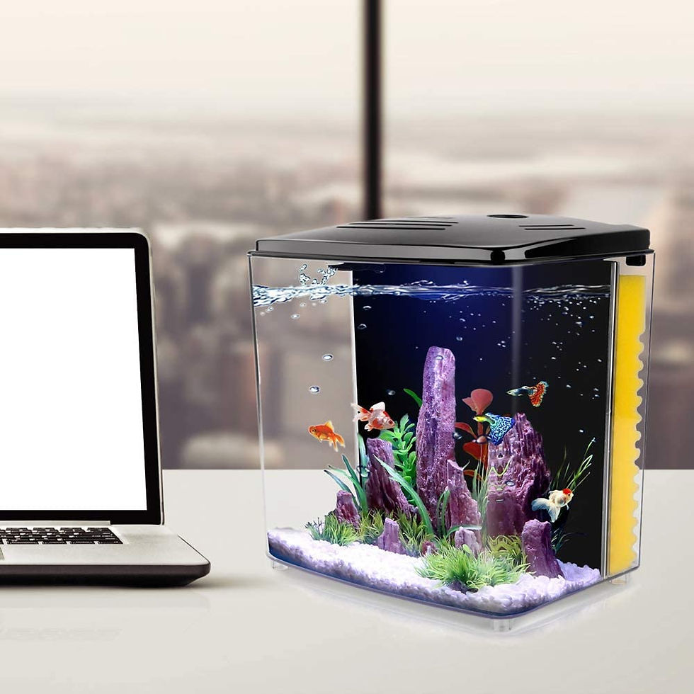 Thumbnail: 1.2Gallon Betta Aquarium Starter Kits Square Fish Tank with LED Light and Filte