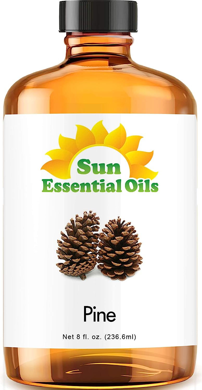 Thumbnail: Sun Essential Oils 4oz - Ginger Essential Oil - 4 Fluid Ounces