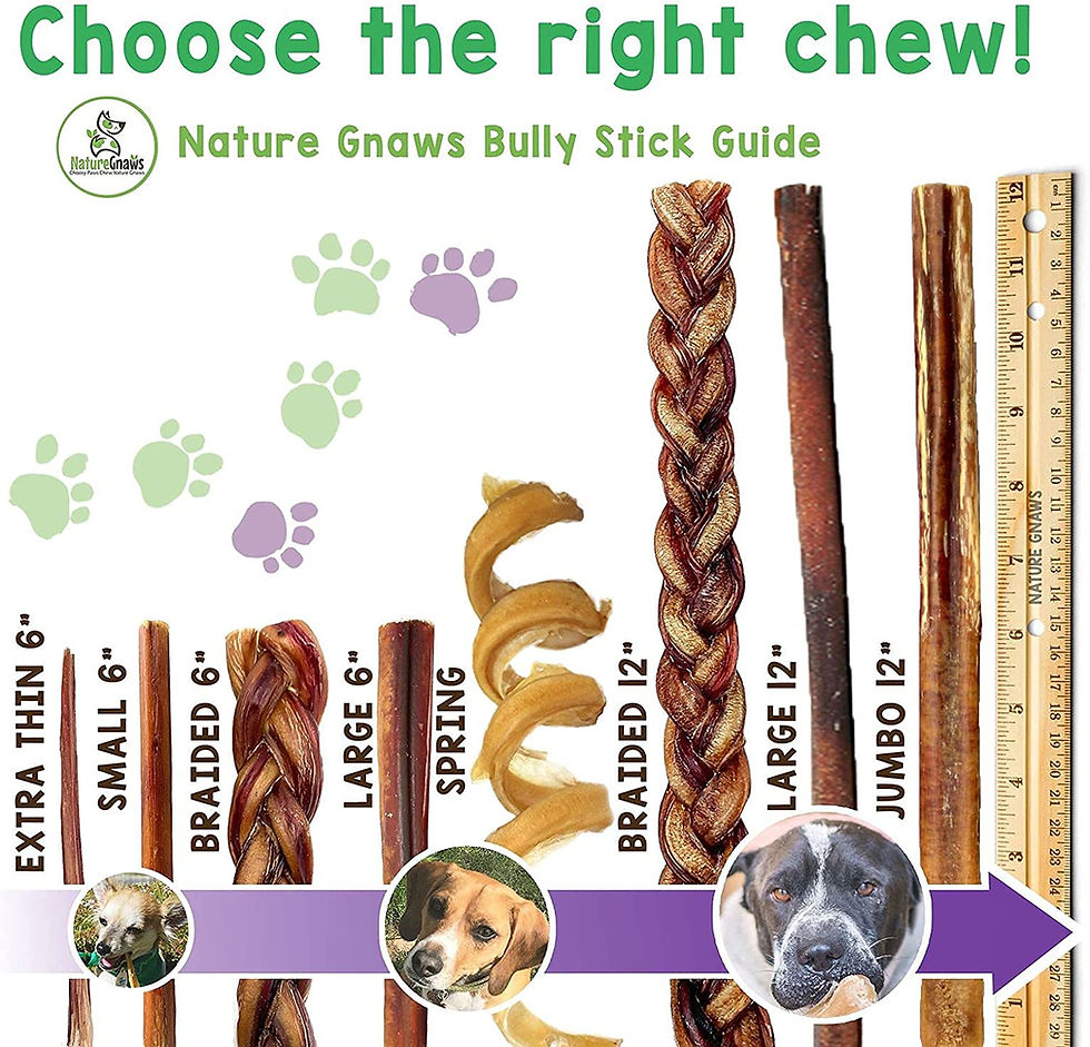Thumbnail: Nature Gnaws Bully Sticks for Large Dogs - Premium Natural Beef Dental Bones - 