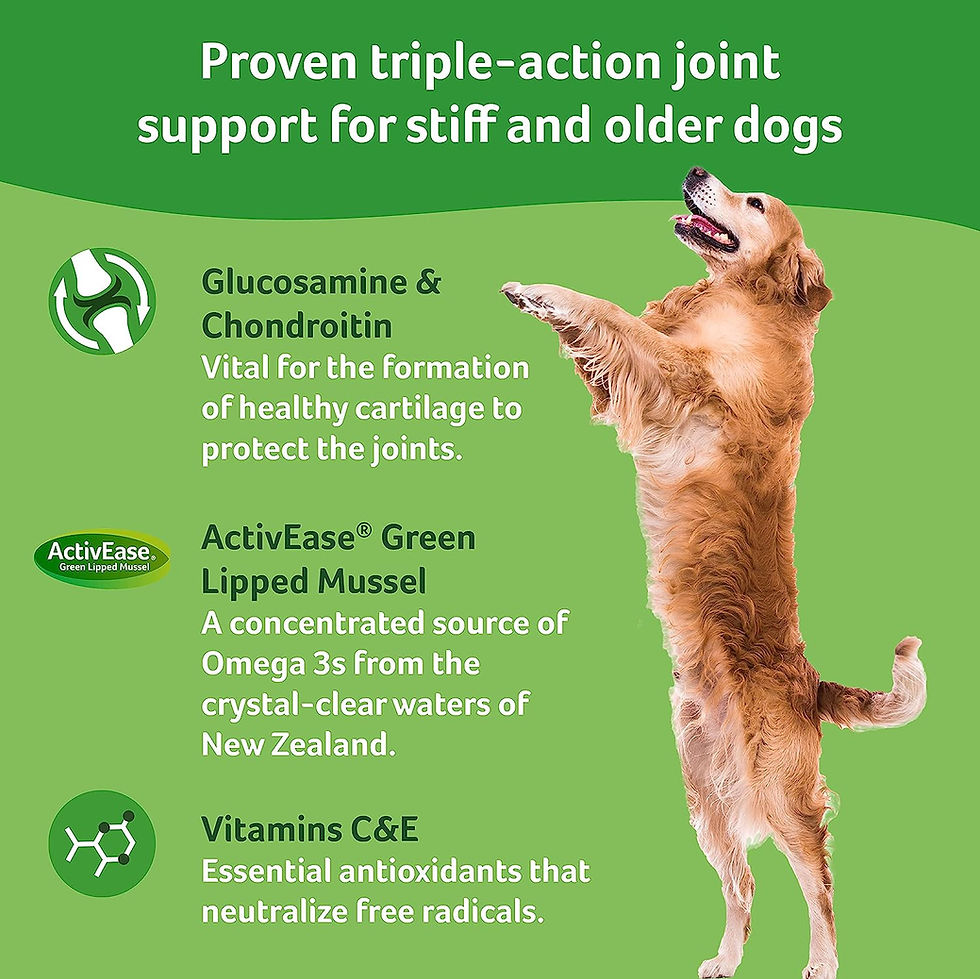 Thumbnail: YuMOVE Adult Dog Tablets | Hip and Joint Supplement for Dogs with Glucosamine, 