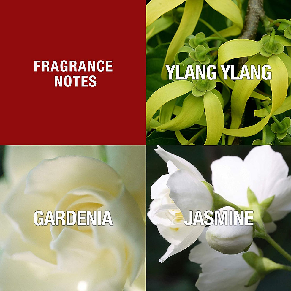 Thumbnail: Women's Perfume, Fragrance by Paul Sebastian, Day or Night Soft Floral Scent, D