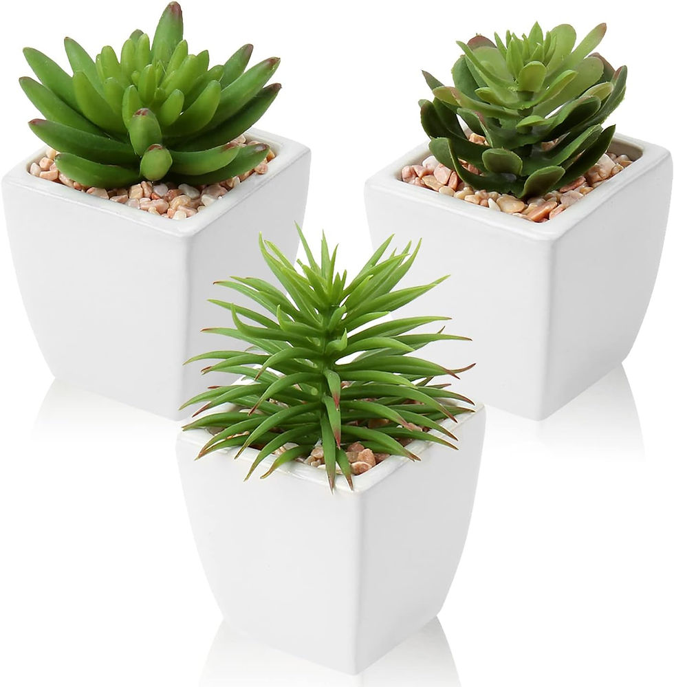 Thumbnail: Large Artificial Succulents Plants Faux Succulents in Pots Fake Succulent Plast
