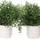 Thumbnail: PENGYEE Artificial Plant, 4Pcs Mini Plants Artificial Potted Set Fake Green Gra