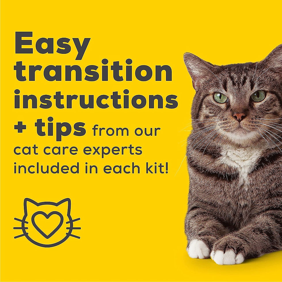 Thumbnail: Purina Tidy Cats Non Clumping Litter System, Breeze XL All-in-One Odor Control 