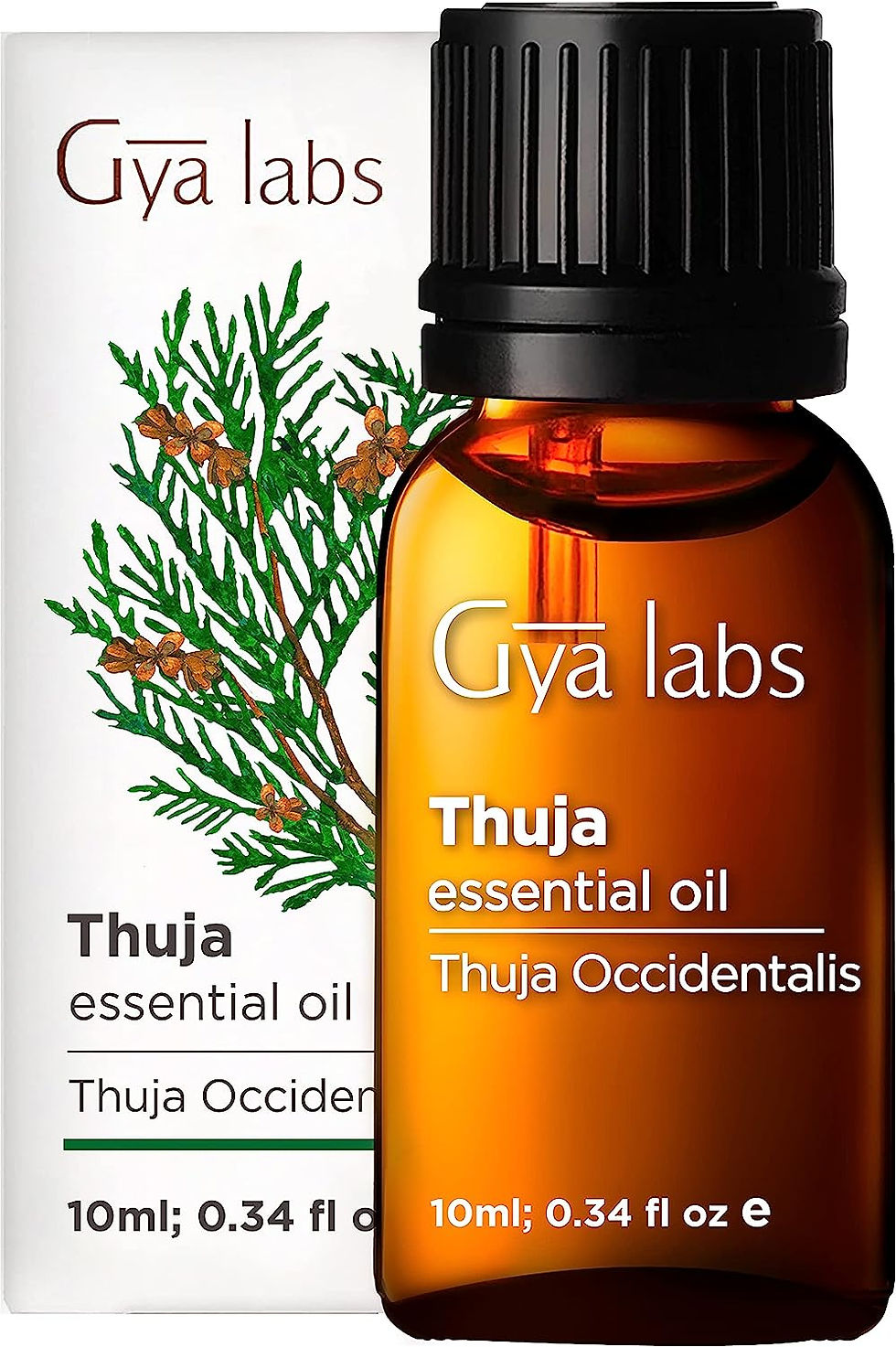 Thumbnail: Gya Labs Australian Tea Tree Oil for Hair & Scalp - 100% Pure & Natural Therape