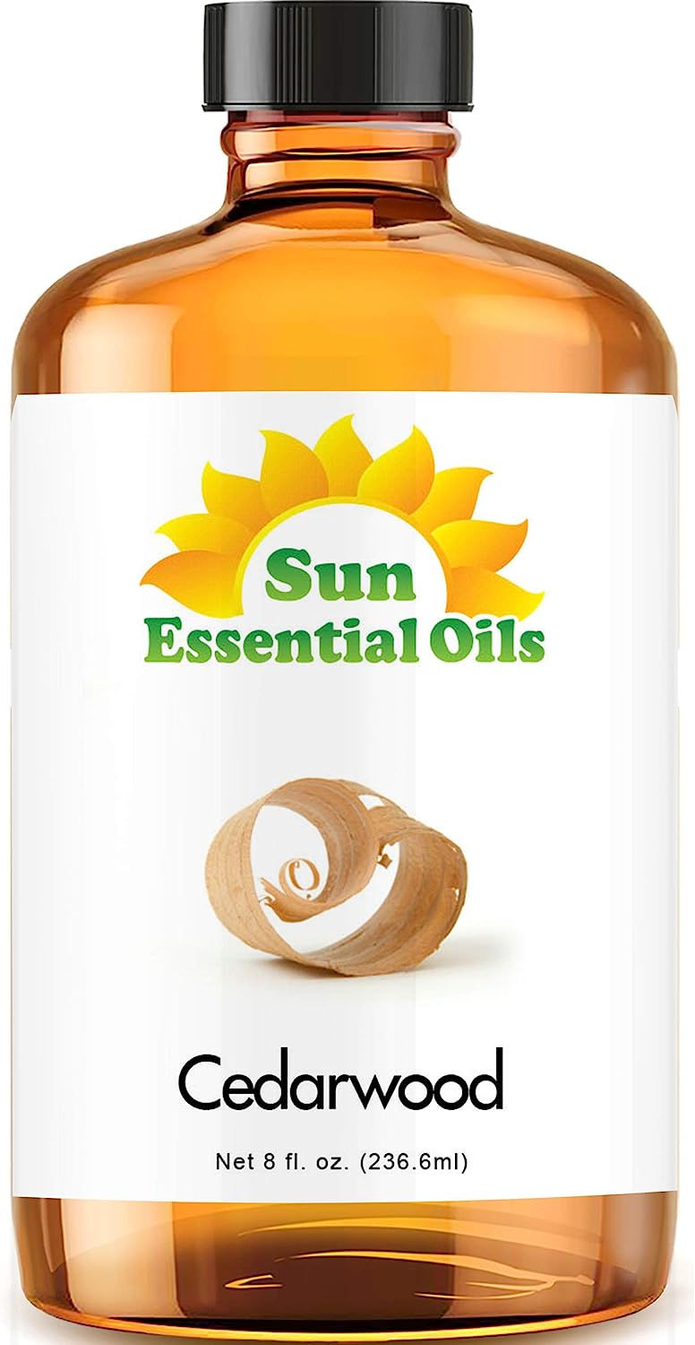 Thumbnail: Sun Essential Oils 4oz - Ginger Essential Oil - 4 Fluid Ounces