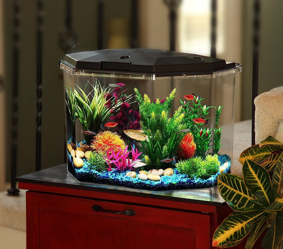 Thumbnail: Koller Products 6.5-Gallon Aquarium Kit with Power Filter and LED Lighting, (AP