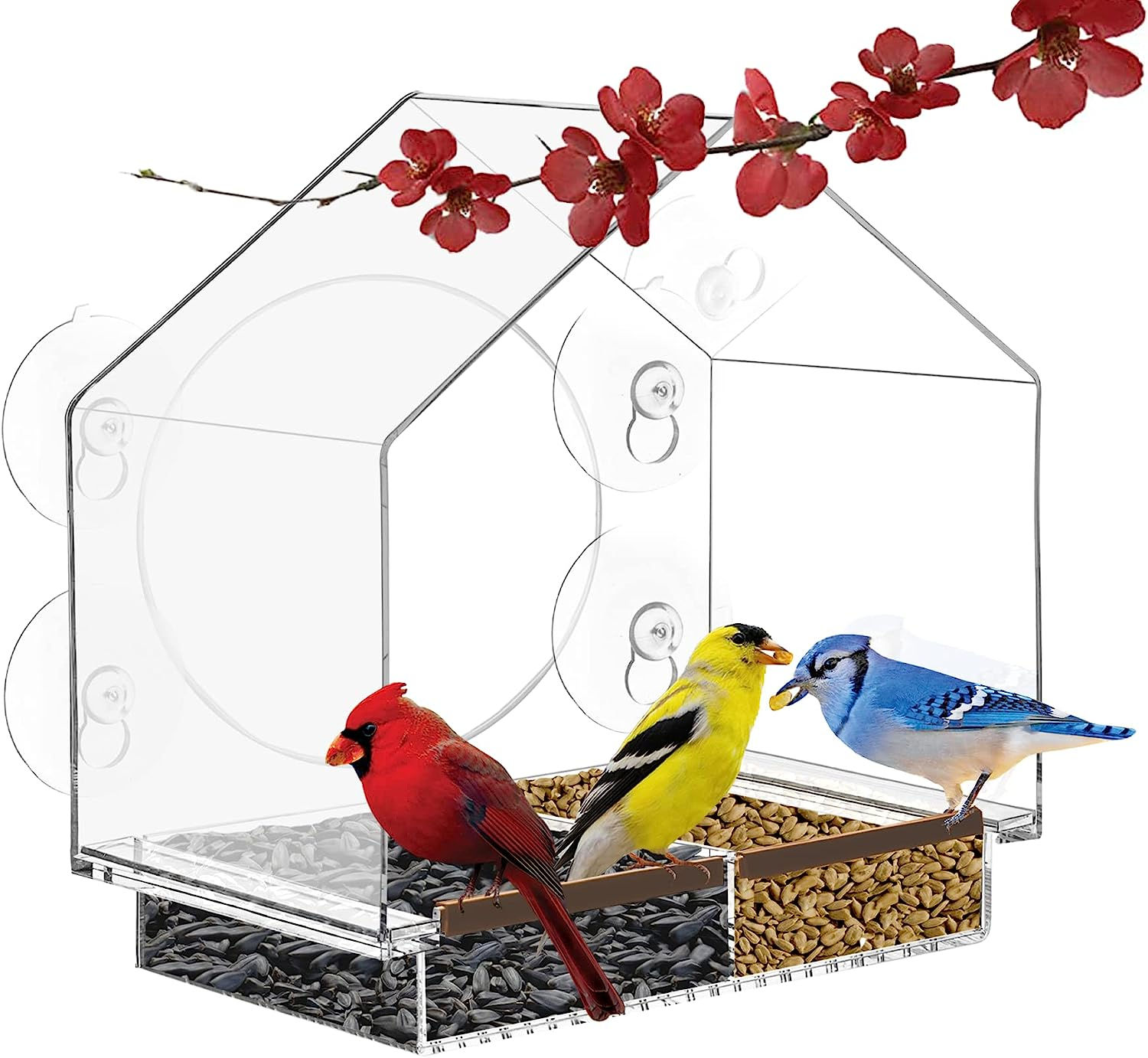 Window Bird Feeders with Strong Suction Cups, Bird Feeder Window - Great for Ca