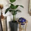 Thumbnail: One 5 Foot Artificial Silk Bird of Paradise Palm Tree Potted Plant