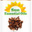 Thumbnail: Sun Essential Oils 4oz - Ginger Essential Oil - 4 Fluid Ounces
