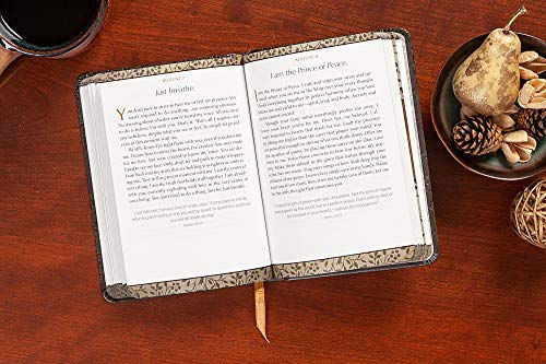 Thumbnail: I Hear His Whisper: Encounter God's Heart for You, 365 Daily Devotions (The Pas