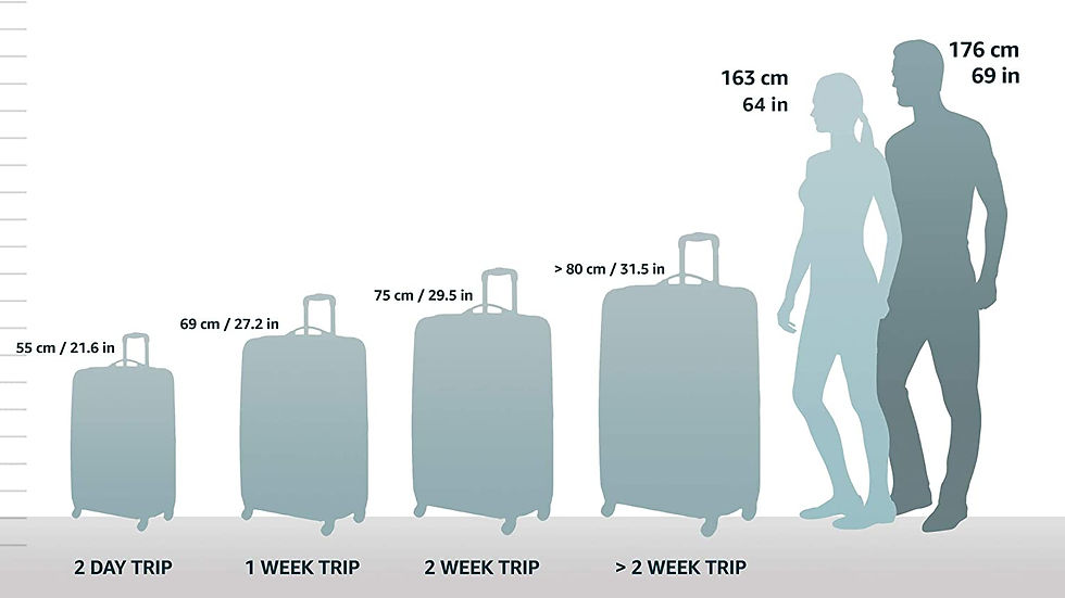 Thumbnail: Rockland Safari Hardside Spinner Wheel Luggage, Blue Leopard, Carry-On 20-Inch