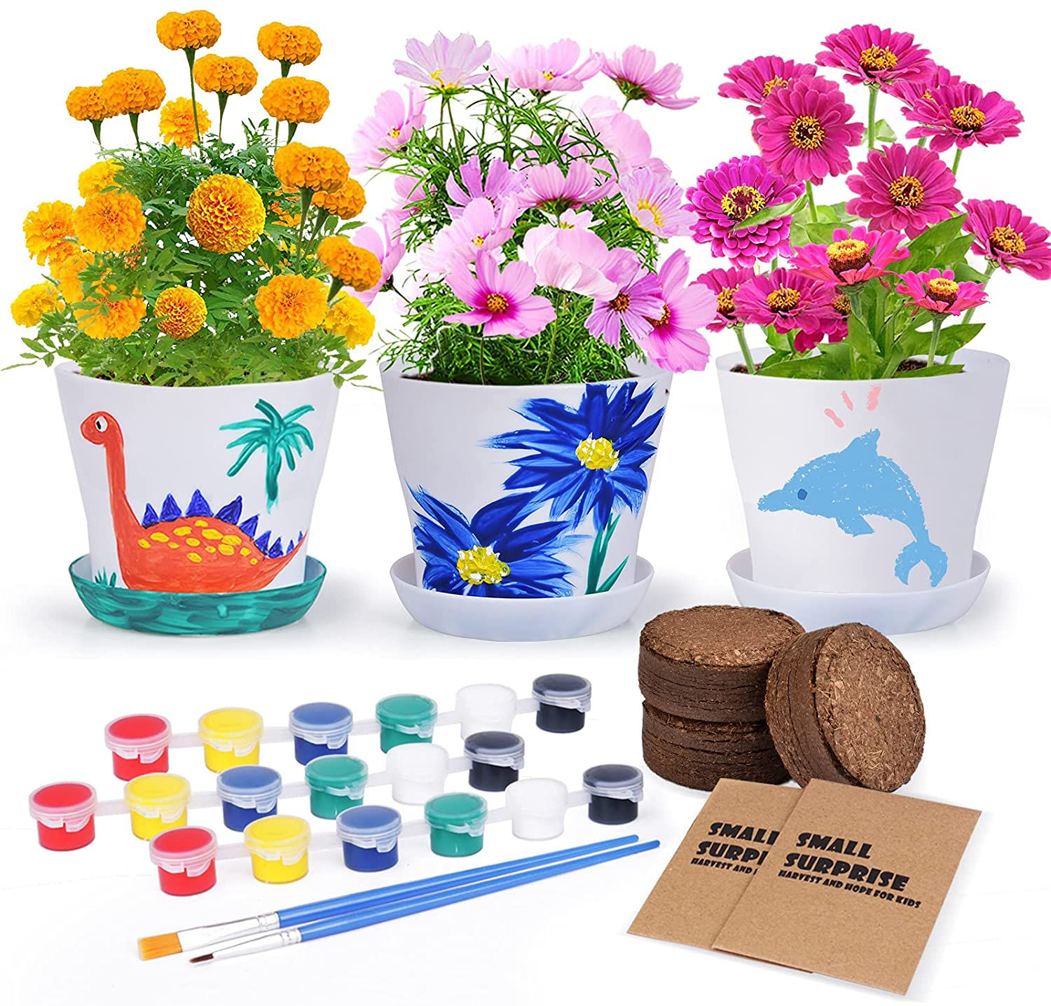 Paint & Plant Flower Planting Growing Kit - Kids Educational Gardening Birthday