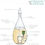 Thumbnail: Raindrop 2.0 Nebulizing Diffuser for Essential Oil, Premium Home & Professional