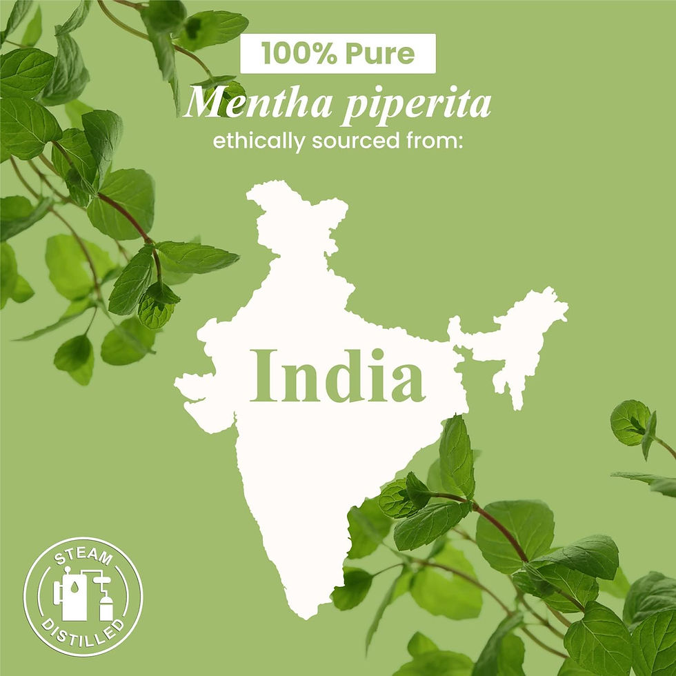 Thumbnail: Handcraft Peppermint Essential Oil - 100% Pure and Natural Premium Therapeutic 