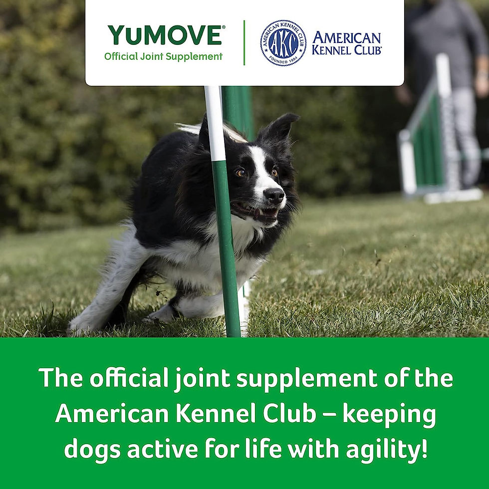 Thumbnail: YuMOVE Adult Dog Tablets | Hip and Joint Supplement for Dogs with Glucosamine, 