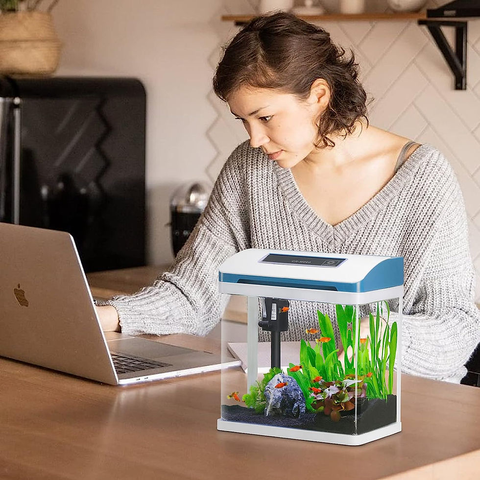 Thumbnail: Small Fish Tank 2 Gallon Glass Aquarium Starter Kits Self Cleaning w/Colorful L