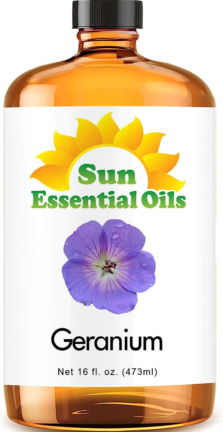 Thumbnail: Sun Essential Oils 4oz - Ginger Essential Oil - 4 Fluid Ounces
