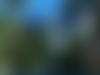 Passeio de Buggy de Maragogi a Milagres