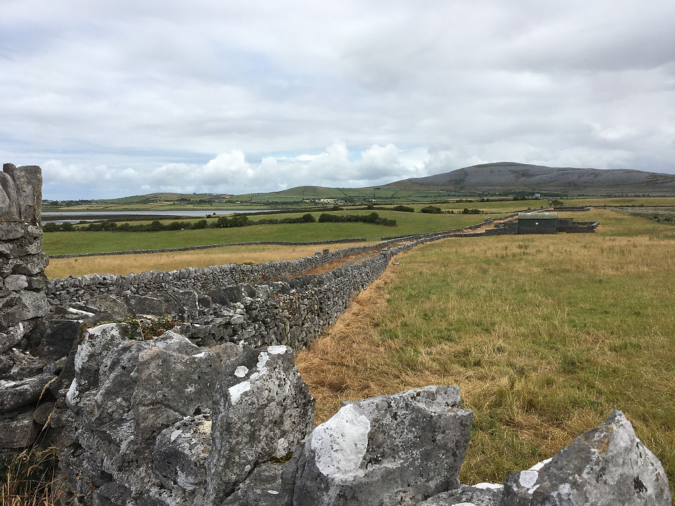 Le Parc National du Burren