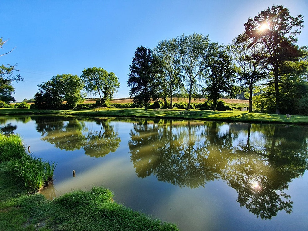 Domaine De Pêche à La Truite De Marquéglise