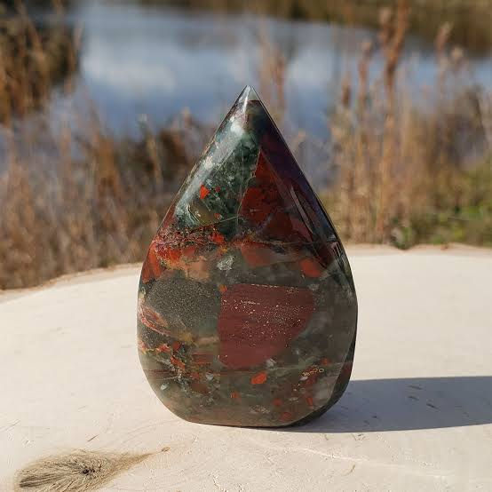 Polished teardrop bloodstone with red, green, and black patterns sits outdoors on a stone surface by water and reeds.