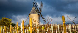 Photo reportage en Beaujolais