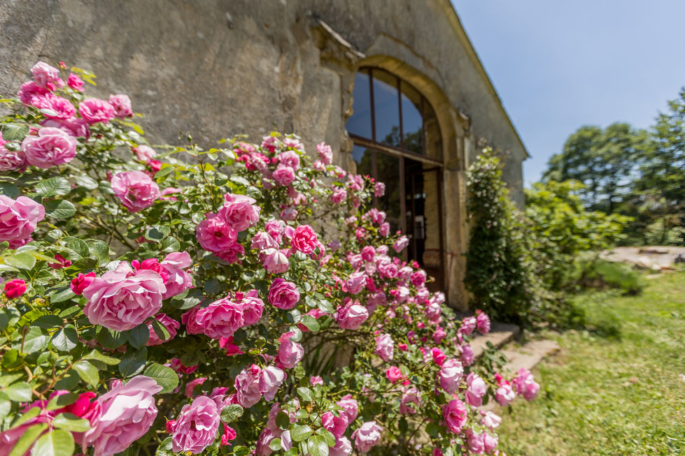 Château Grandsagnes - Le Soulié