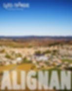 Photo aérienne Alignan du vent