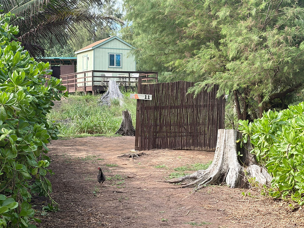 Click image to enlarge