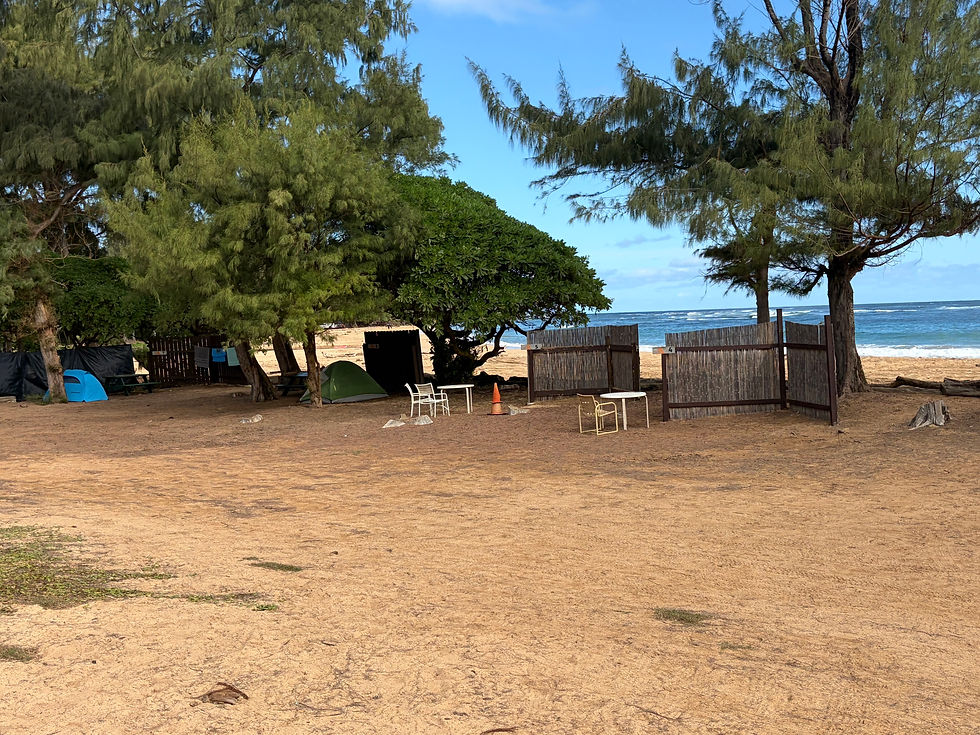 Click image to enlarge