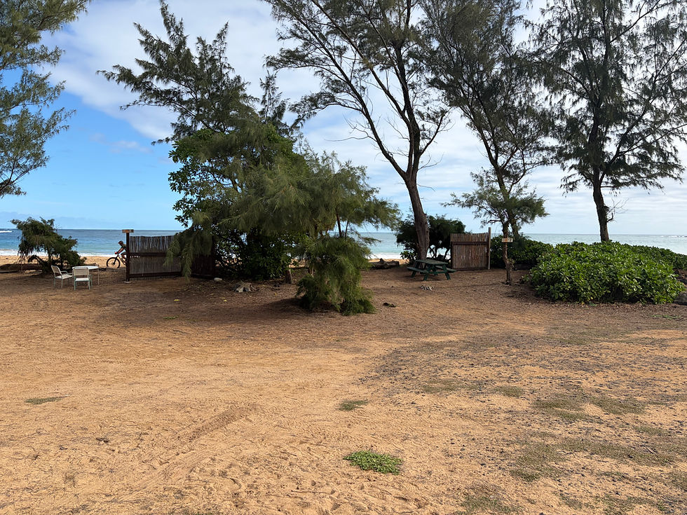 Click image to enlarge