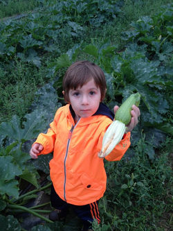 1393914_395914503872675_730631847_n