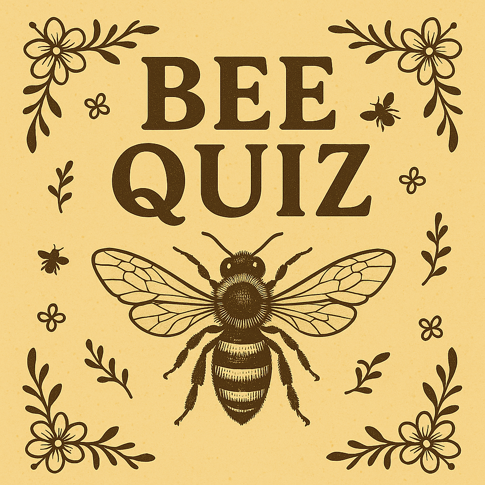 The Bee Kind Project Fundraising Quiz Night