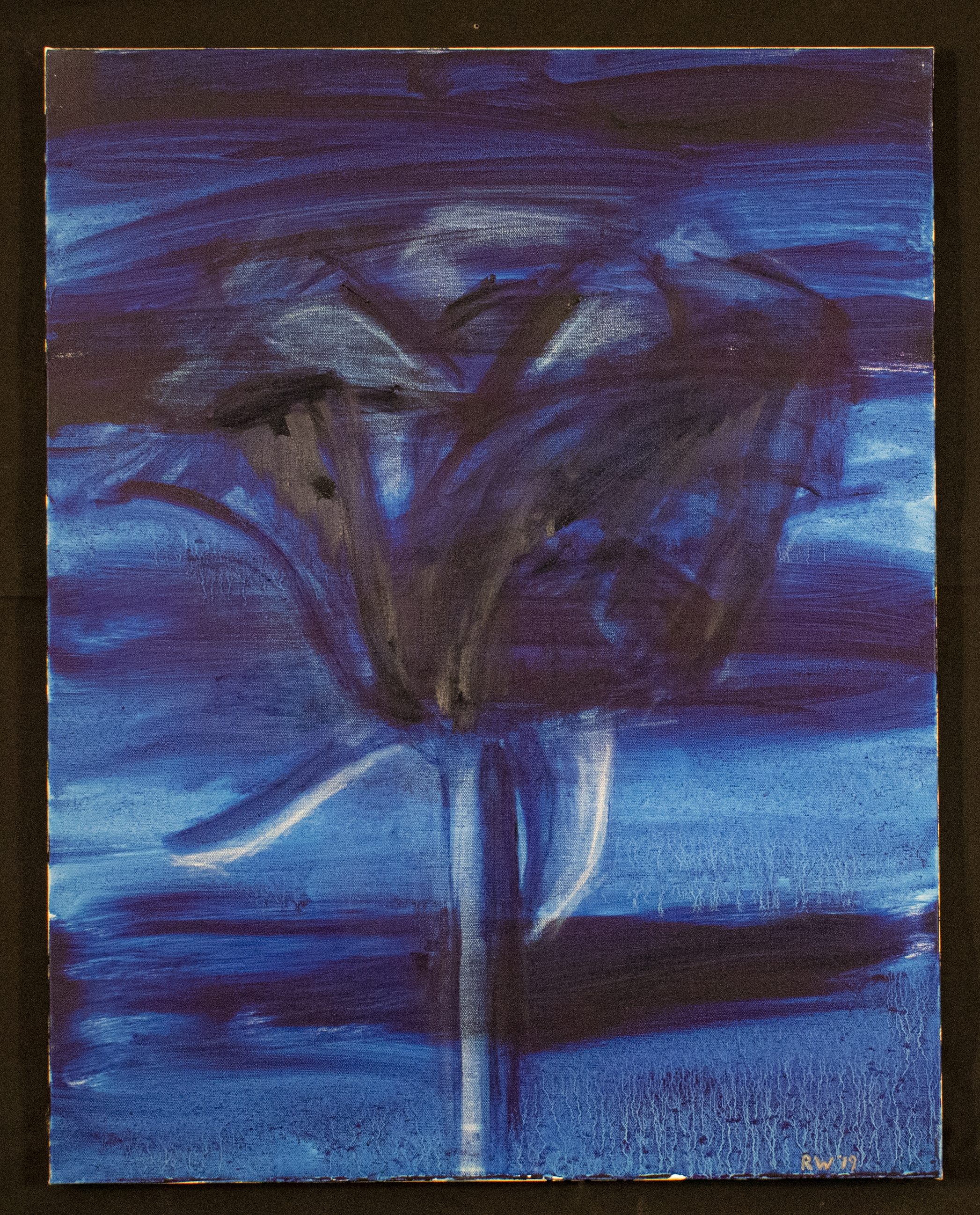 Blue Rose #1