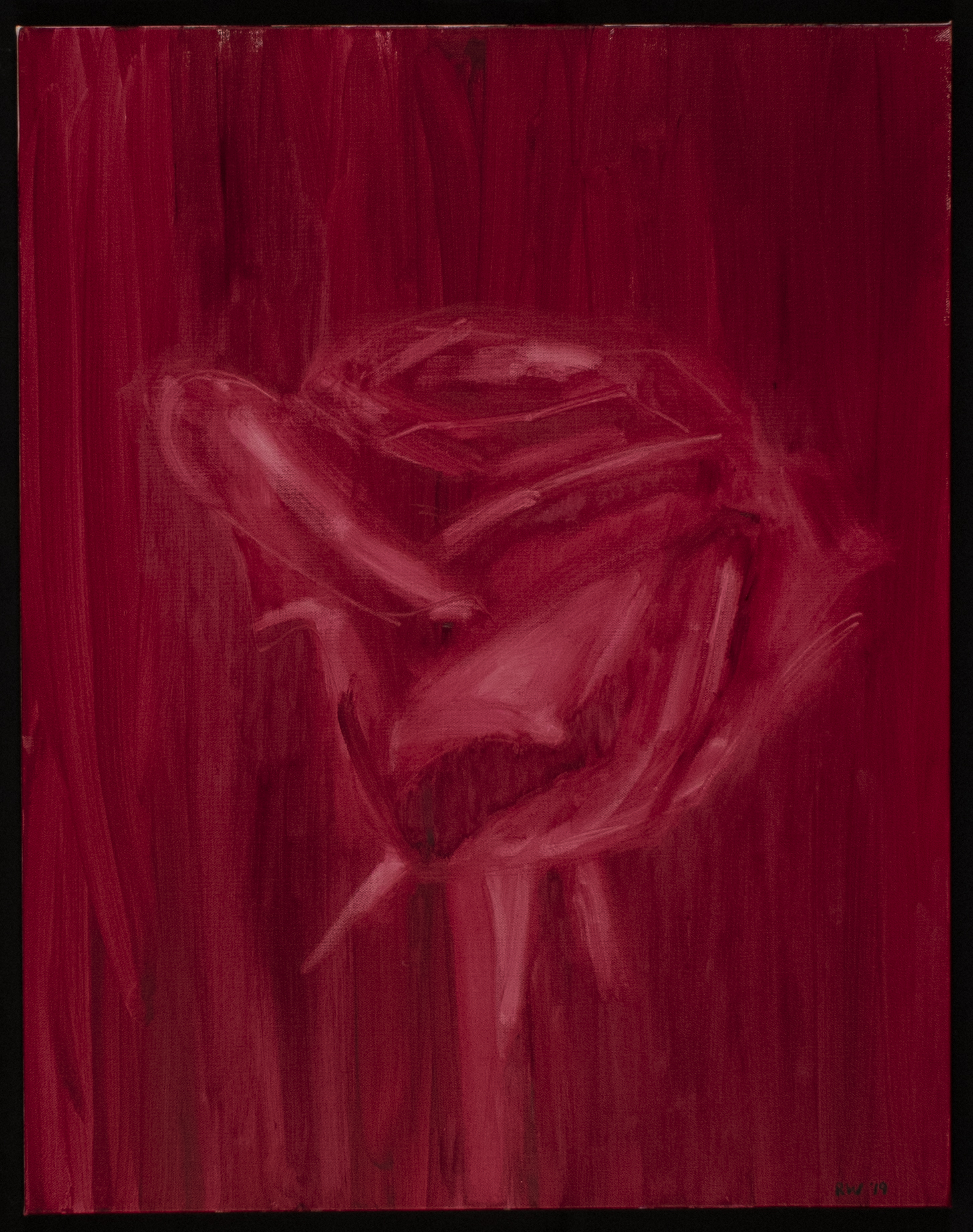 Red Rose #1