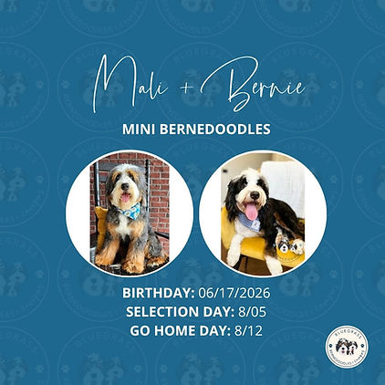 Mali + Bernie.jpg