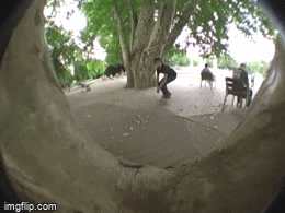 Soma - fakapu wallie | Smirgli
