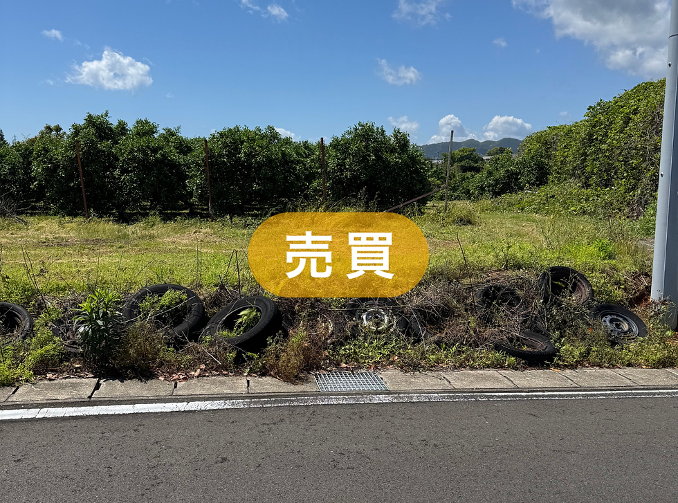 空き地No.26203