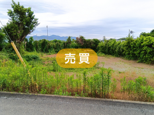 空き地No.25204