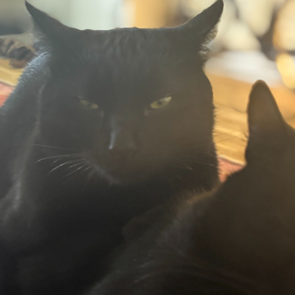 Thumbnail: Mack & Charlie